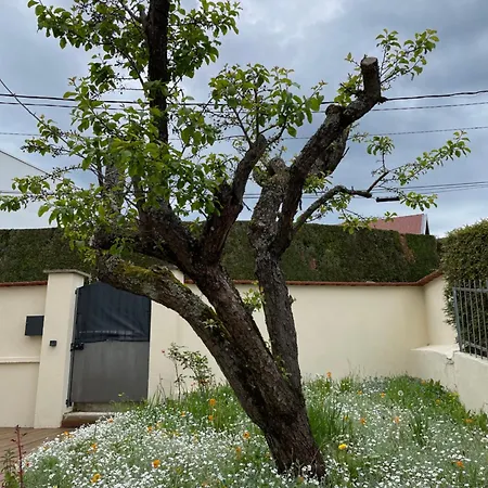 Nyaraló A La Maison *